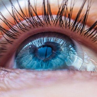 Les lentilles de contact